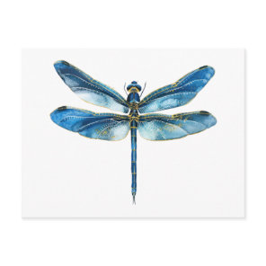 Blue dragonfly  postcard