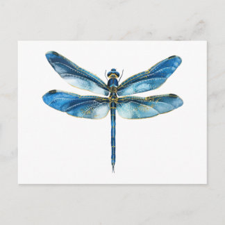 Blue dragonfly postcard