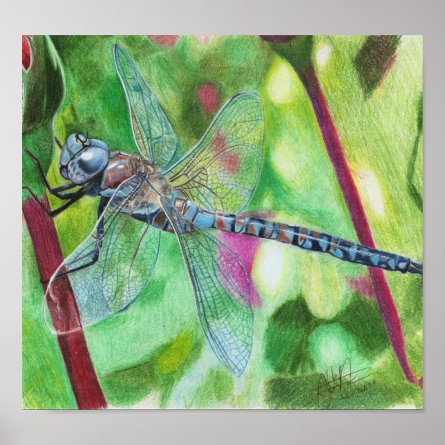 Blue Dragonfly Poster (Front)