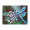 Blue Dragonfly Resting On Wild Garlic