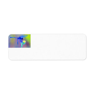 Blue Dragonfly Return Address Label