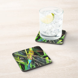 Blue Dragonfly Shimmering Wings Painting Drink Coaster