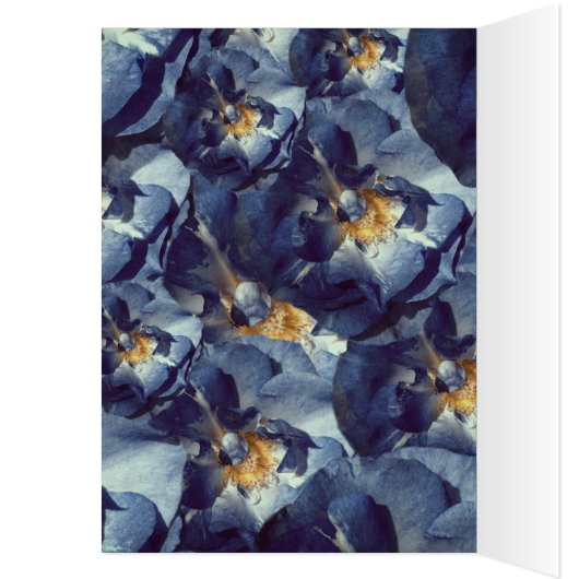 Blue dream, Roses Happy Birthday Greeting Card (Inside (Left))