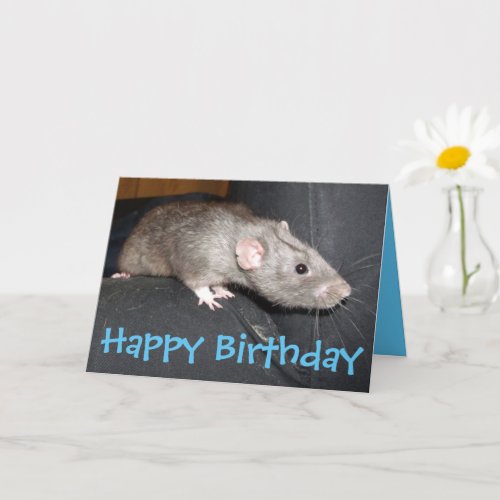 Blue Dumbo Rat birthday card