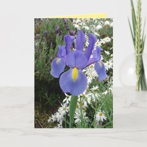 Blue Dutch Iris Flowers Floral Card
