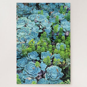 Blue Echeveria Imbricata & Green Sedum Succulent Jigsaw Puzzle