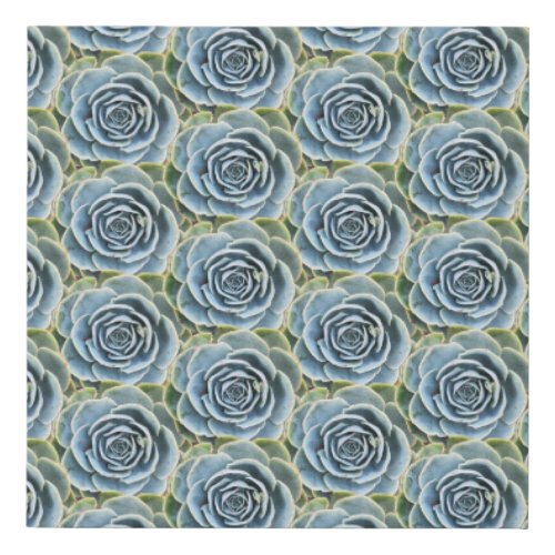 Blue Echeveria Imbricata Succulent Faux Canvas Print