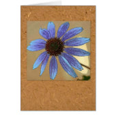 Blue echinacea (Front)