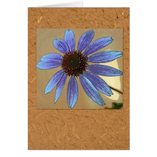 Blue echinacea cards (Front)