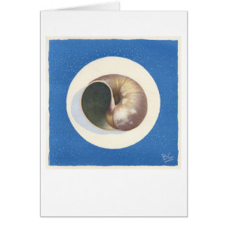 BLUE ECHO SHELL ECHOING CARDS