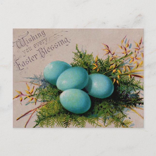 Blue Eggs Easter Greetings Holiday Postcard (Front)