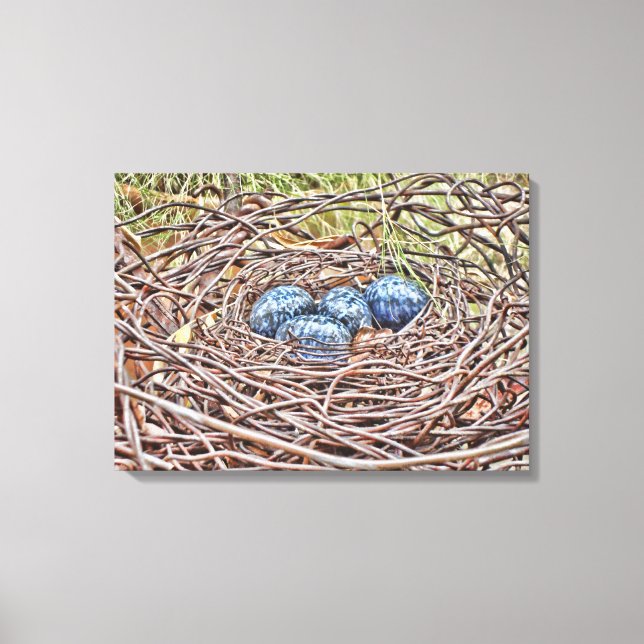 Blue Eggs In Nest Wrapped Canvas Print (Front)
