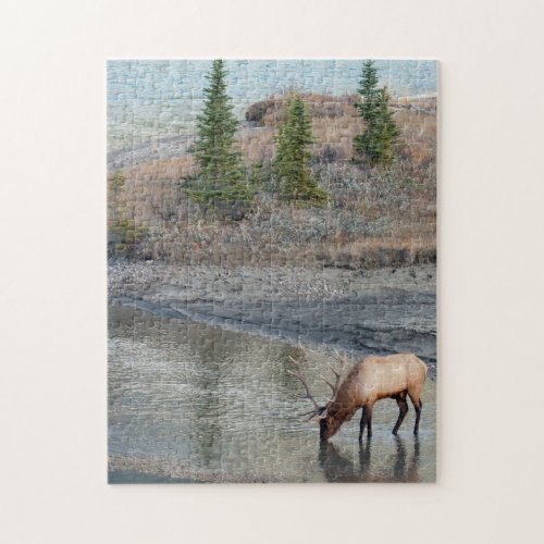 Blue Elk Rocky Mountain Jigsaw Puzzle