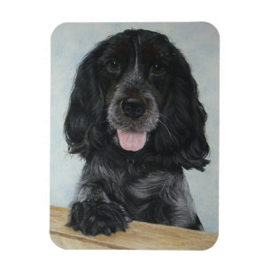 blue english cocker spanial very cute dog magnet