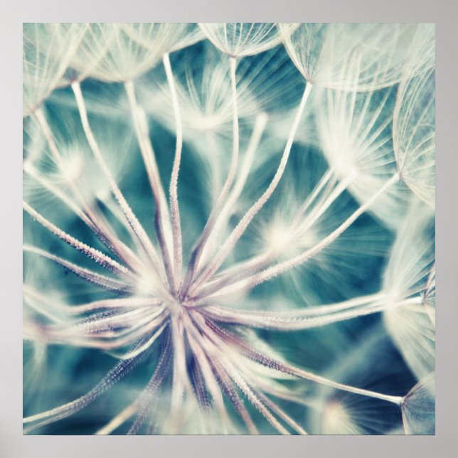 Blue Ethereal Dandalion Macro Poster (Front)