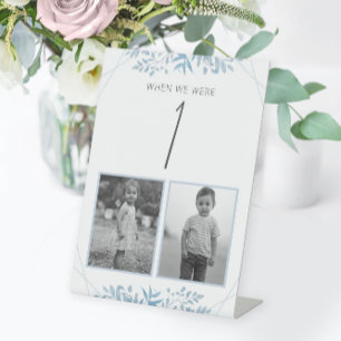 Blue Eucalyptus Wedding Age Table Number Pedestal Sign