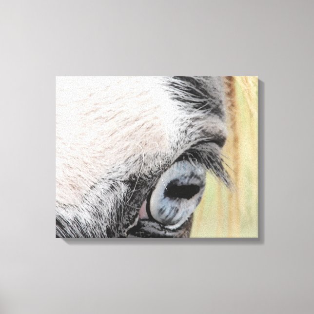 Blue Eye Canvas Print (Front)