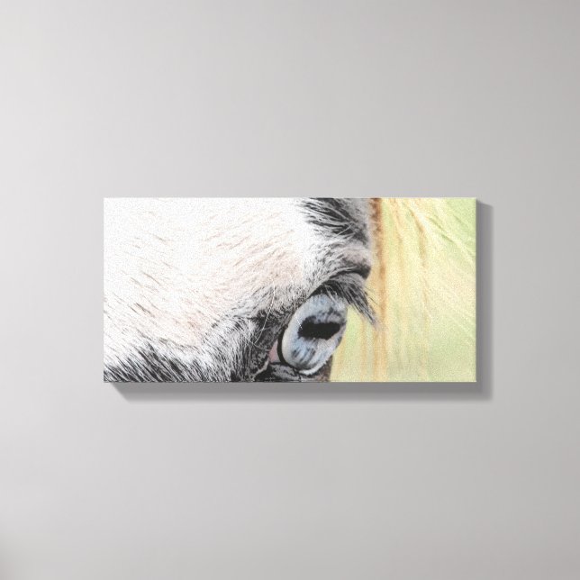 Blue Eye Canvas Print (Front)