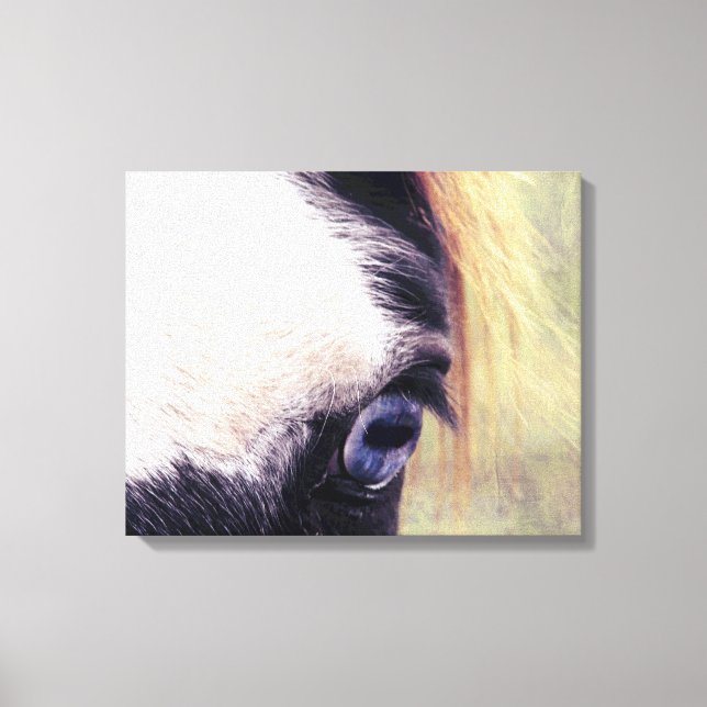 Blue Eye Canvas Print (Front)