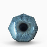 Blue eyeball acrylic award<br><div class="desc">Blue eyeball</div>