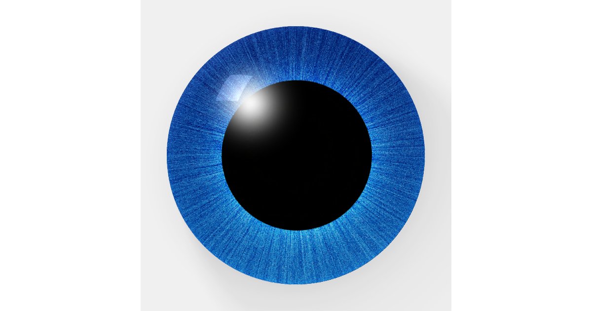 BLUE EYEBALL PAPERWEIGHT Zazzle