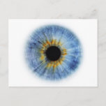 Blue Eyeball Postcard at Zazzle