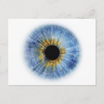 Blue Eyeball Postcard by CoffeeRules at Zazzle