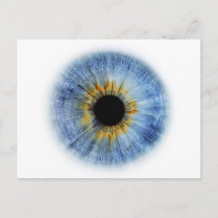 Blue Eyeball Postcard