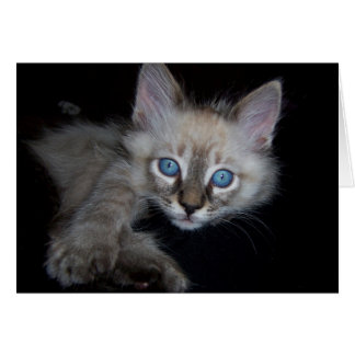 Blue-Eyed Baby Boy Cards