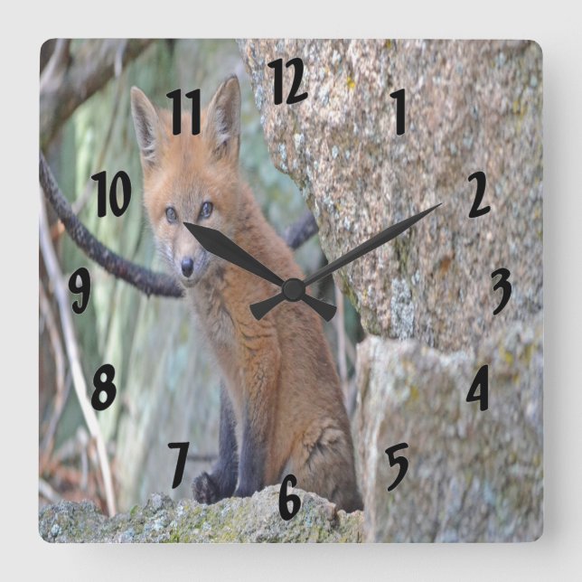 Blue Eyed Baby Fox Square Wall Clock (Front)