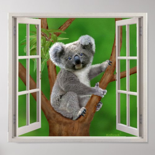 Blue_Eyed Baby Koala Bear Fake Window Poster