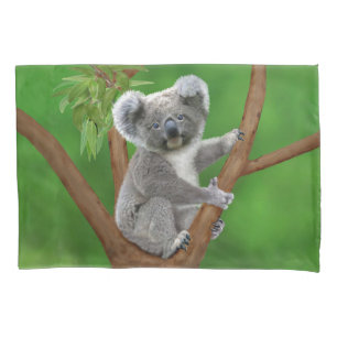 Blue-Eyed Baby Koala Bear Pillowcase