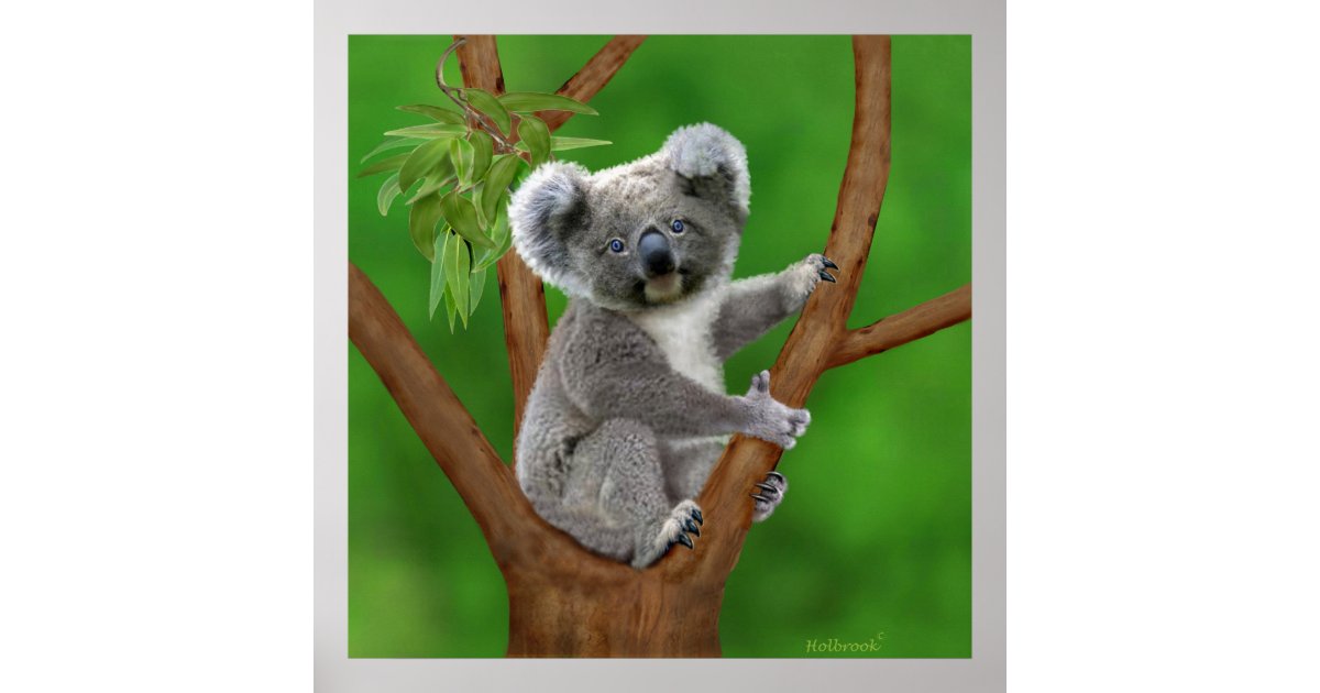 Koala ClipArt - Pirate Ship Koala Bears Graphics - Commercial Use
