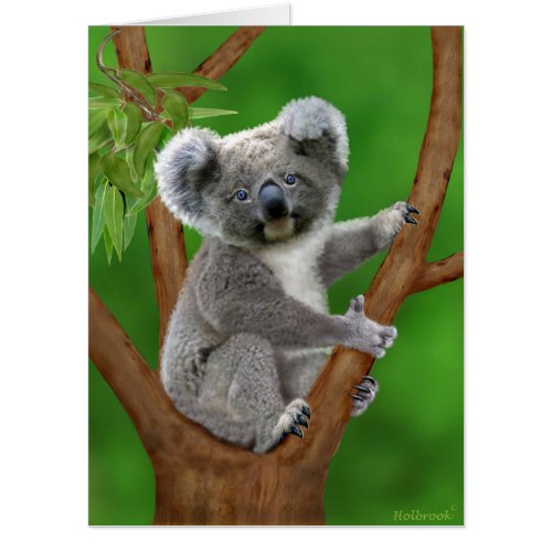 BLUE_EYED BABY KOALA BEARS CARD