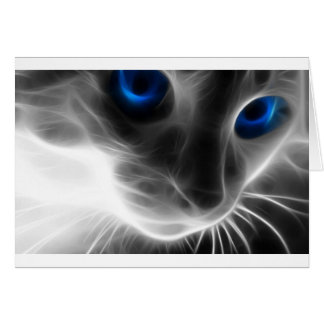 Blue Eyed Black and White Kitty Cat Cards