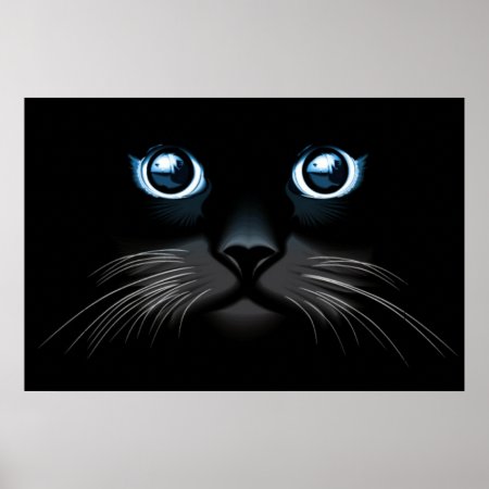 Blue Eyed Black Cat Face Poster