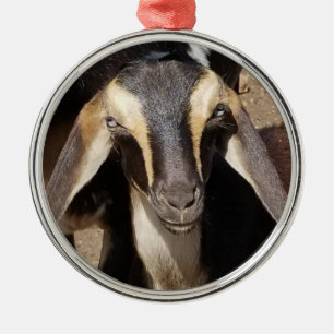 Blue Eyed Buckskin Mini Nubian Dairy Goat Kid Metal Ornament