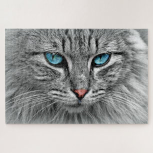 Blue Eyed Cat Jigsaw Puzzle