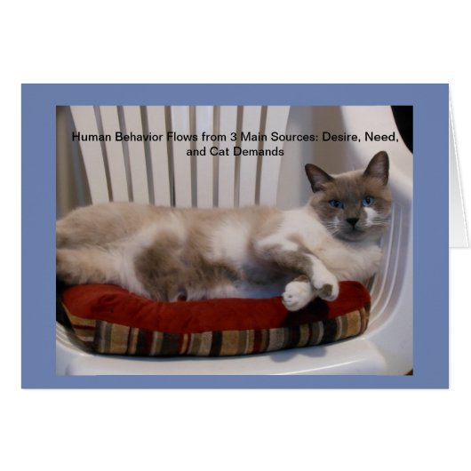 Blue-eyed Cat Philosopher Notecards [Blank Inside] Cards (Front Horizontal)