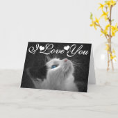 Blue Eyed Cat Photo Image I Love You Card (Yellow Flower)