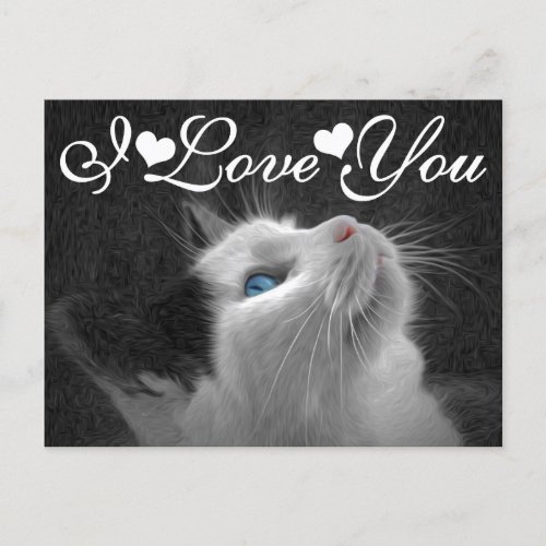 Blue Eyed Cat Photo Image I Love You Postcard