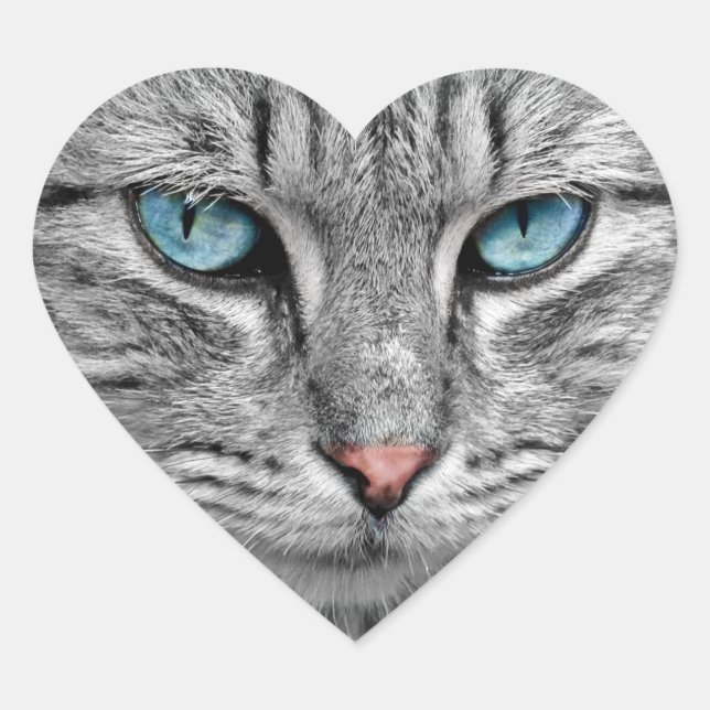 Blue-Eyed Cat Sticker (Front)