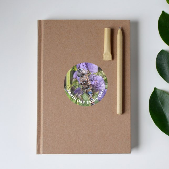 Blue-Eyed Darner Dragonfly Earth Day Classic Round Sticker (In Situ Book)