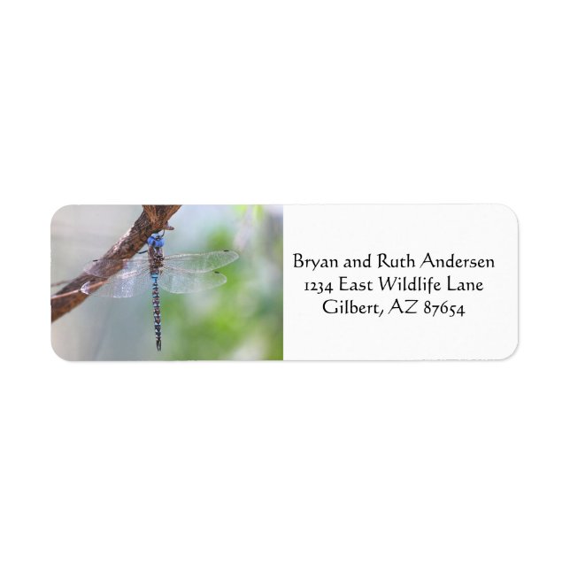 Blue - Eyed Darner Dragonfly Label (Front)