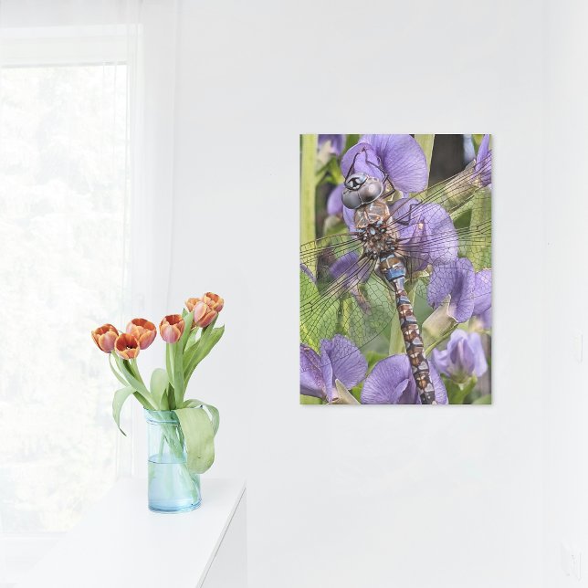 Blue-Eyed Darner Dragonfly on Flower Acrylic Print (In Situ)