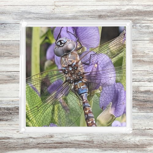 Blue_Eyed Darner Dragonfly on Flower Acrylic Tray