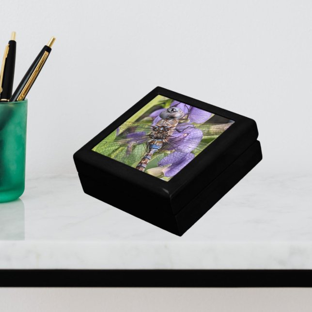Blue-Eyed Darner Dragonfly on Flower Gift Box (Creator Uploaded)