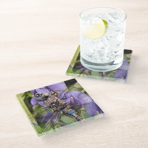 Blue_Eyed Darner Dragonfly on Flower Glass Coaster