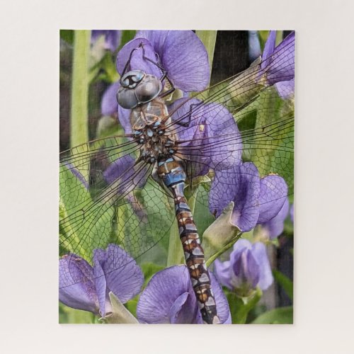 Blue_Eyed Darner Dragonfly on Flower Jigsaw Puzzle