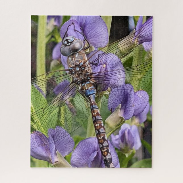 Blue-Eyed Darner Dragonfly on Flower Jigsaw Puzzle (Vertical)